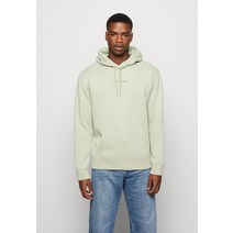 Hollister Co 홀리스터사 전용 스몰 스케일 로고 남자 후드티 세이지