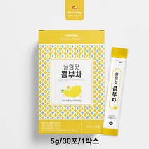 레몬 콤부차 홍차추출물 발효음료 유산균 발효 홍차 아이스콤부차, 1박스