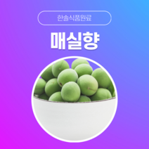 [한솔식품원료] 매실향 (Plum Flavor) (액상 Type) [30g/50g/100g/1kg/5kg/10kg], 1kg