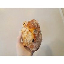 치아바타 올리브치아바타 콘치아바타
