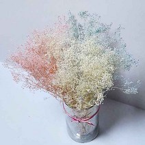 미니안개 30g 프리저브드안개 드라이플라워 프리저브드플라워 말린꽃 인테리어 꽃소품, 화이트