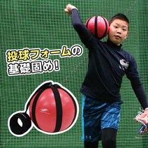 필드포스 야구 스로잉 파트너 투구 연습 FSLP-18