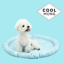GOREA. 노곤하개 강아지 고양이 애견 쿨매트 방석 소형 중형 대형견, 콕스카이, 쿠션 원형