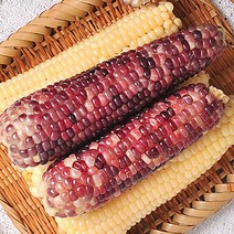 [산지발송]김동식님의 삶은 냉동 흑찰옥수수 30개(3개씩 포장), 단품