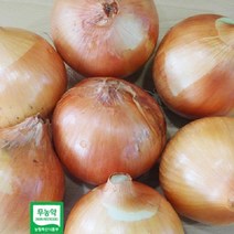 (인빌푸드)창녕 무농약 양파 5kg, 1개