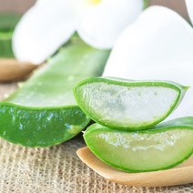 두리농산 알로에겔 베라250 오리지널 1000mlx9병+3병덤(총12병), 상세 설명 참조, 단일옵션