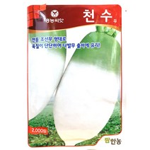 천수무 2000립
