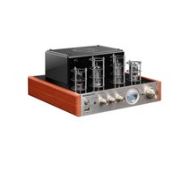 MS-10D 진공관 앰프 무선 블루투스 하이파이 미니 증폭기, 10D 골드 블루투스