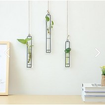 블루칩 행잉화분 벽걸이인테리어 S