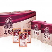 참다올 [선운산농협]베리웰 복분자즙 100mlx30포