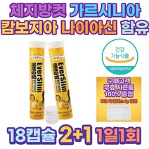 체지방감소 발포비타민 다이어트 판토텐산 가르시니아 예신 중년 diet 몸매관리 다이어트식품 간식 단기 여자뱃살빼는법 뱃살빼기 아랫배 허벅지안쪽살 복부지방 팔뚝살빼는법 체중감량