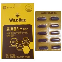 종근당건강 프로폴리스 플러스 60캡슐 2통 4개월분 와일드비 프로폴리스 환절기 면역력
