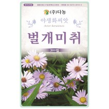 분꽃 5g - 야생화 씨앗 꽃씨 씨 꽃씨앗 분꽃씨앗 분꽃씨 야생화씨 야생화씨앗 꽃 분화 자미리 초미리 자화분, 23_다농_벌개미취(300립)