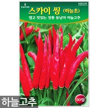 백작두콩 씨앗 10립 - 작두콩 작두콩씨앗 작두콩씨 콩씨앗 콩씨 씨 주말농장 텃밭, 06_스카이씽하늘고추(50립)