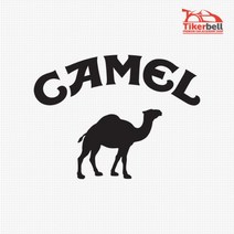 캠핑 카라반꾸미기 Camel 데칼스티커 차량용스티커 레이튜닝용품 차량스티커 차스티커, 1개, 화이트 중형