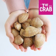 제철 명주조개 1kg 개량 갈미 명지조개 노랑조개, 1개