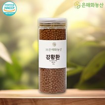강황 환 강황 커큐민 300g, 1개