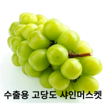 국내산 프리미엄 샤인머스켓 1.5kg 2kg 수출용 망고포도 꿀포도 보장된 고당도 최상품 포도 제철과일 청포도, 알뜰실속형 2kg(3~4송이)