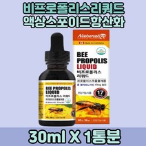 액상형태 비프로폴리스 리쿼드 BEE PROPOLIS LIQUID 1박스 프로폴리스액상 항산화영양제