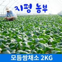 [물맑은 양평] 지평 농부 모듬쌈2kg