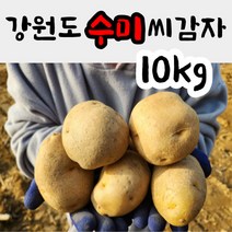 빛고을장터 국내산 포슬한 제주 햇 감자 10kg 5kg 3kg내외, 1box, 감자 (대) 10kg내외 (찜용추천)