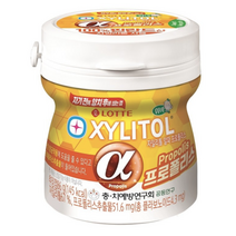 자기전에 양치후에 씹는 껌! 롯데 자일리톨 알파 프로폴리스 용기형 86g 1개