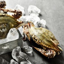 국산 연평도 알배기 활 암꽃게 숫꽃게 생물 급냉 냉동 절단 간장게장용 찜용 무침용 꽃게장 1kg 2kg 3kg 4kg 5kg, 4kg(활 숫꽃게)