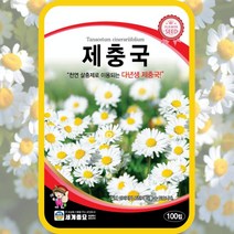제충국 씨앗 100립 꽃씨몰 다년생 종자 아스타 국화과 봄 여름 가을, 단품