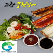 고창 풍천장어 손질장어 1 kg 1세트 포장 2~4마리 생장어 자포니카 민물 장어 생명수산 손질후 700g내외