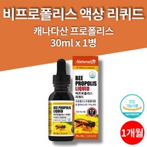 코스트코 트레이더스 아기 수용성 프로폴리스 스포이드 액 액체 리퀴드 bee propolis liquid 중학생 고등학생 대학생 영양제 30ml 1통