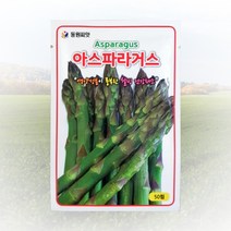 농사친구 아스파라거스 씨앗 50립 동원 씨 종자 모종 항암배추 히카마 고추모종 공심채, 1봉
