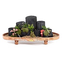 숯부작(OW-9005)[꽃배달서비스/축하화분/개업화분]
