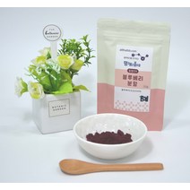 블루베리 동결건조 분말