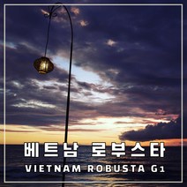 (커피생두) 63 베트남 로부스타 G1 1kg