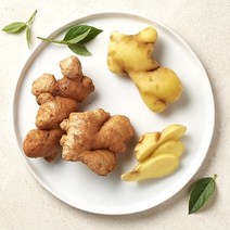 [새벽배송][우리가락]생강 100g