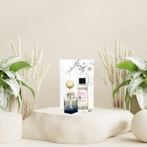어느멋진날 디퓨저 작은정원향 [ 차량용세트 100ml (공병+스틱+리필오일100ml+선물박스) ], 블루