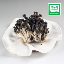 농사꾼아내 친환경 무농약 느타리 버섯 200g/400g/1kg, 친환경 느타리 버섯 1kg
