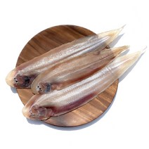 산지직송 군산 반건조박대 33cm 내외 5미, 01 5미(소) 29cm 내외
