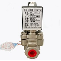 16bar 1.6MPa 2 웨이 고온 스팀 솔레노이드 200 밸브 1/4 3/8 24V 오리피스 8mm SS304 대용량 유량, [03] DN8, [01] 12V, [01] G