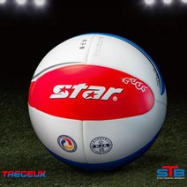 스타 태극 족구공 공식구 태극볼 족구볼 지름20cm P/S:5A00A5 JH+10033EA : 족구네트 족구화 족구지주세트 족구공 족구네트봉 족구라인기 족구복, jh ;  본상품선택