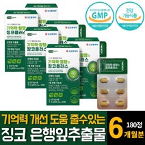징코빌로바 은행잎추출물 기억력 손발저림 혈액순환제 혈행개선 산화아연 판토텐산 영양제 추천 60정 3개