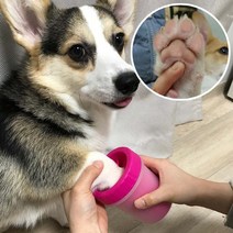 강아지발닦기 강아지위생용품 강아지산책후발닦기