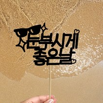 빅토리아데코 새해토퍼 크리스마스 신혼 가족 여행토퍼 피켓 투명 부채토퍼 케이크토퍼 메세지픽 제작, 1개, 여행토퍼_A-306-1-눈부시게좋은날