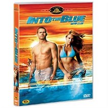 (DVD) 블루스톰 (Into The Blue)