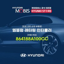 현대모비스 엠블럼 레터링 인터쿨러 (864188A100CC)