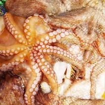 제철 통영가리비 비단가리비 뿔소라 깐 멍게 외, 1개, 자연산 돌문어500g