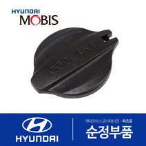 아반떼HD (2006.11-2010) 순정 냉각수통 캡 뚜껑 (리저버탱크 부동액통)