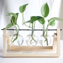 포스아트 수경재배 유리병 화분 원목(3구) CN 수경식물 화병