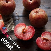 B055 퓨어세덱션 500ml (Pure Seduction) 프래그런스오일 캔들 디퓨저 향수