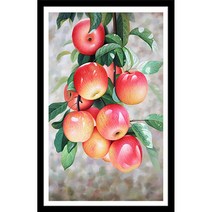 히여 보석 십자수 DIY 패키지 3D 재물 홍 사과 BH-054 30 cm x 40 cm, 1개